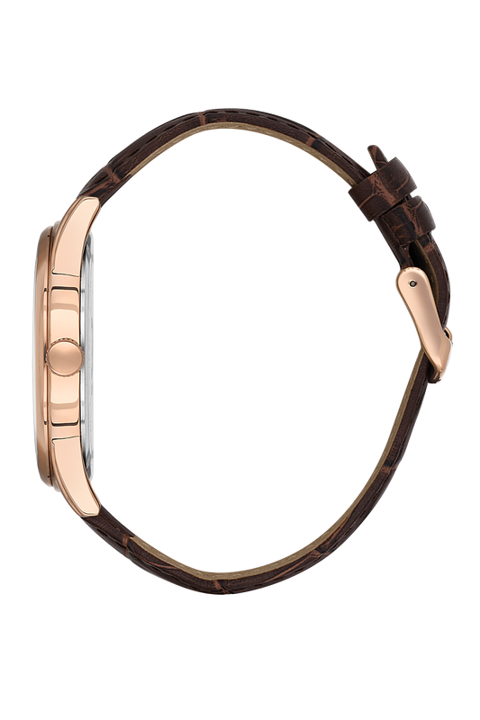 DANIEL KLEIN DK.1.13669-4 MEN WATCH