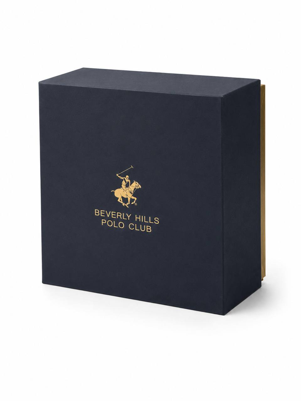 POLO BP3861X.390 MEN WATCH
